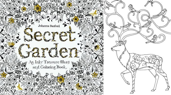 Adult Coloring Book Reviews for All Ages